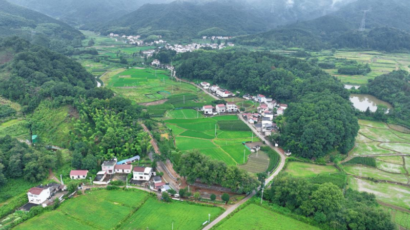 青浦保洁公司青石板厂家池州贵池和美乡村建设请村青浦青石板青年